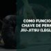 chave de perna no jiu-jitsu ou leglock