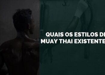 estilos de muay thai