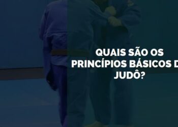 princípios básicos do judô