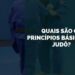 princípios básicos do judô