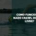 Como Funciona o Nado Crawl ou Nado Livre