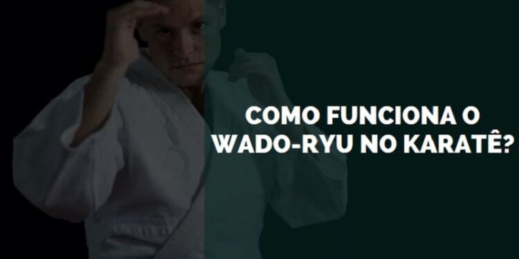 Como Funciona o Wado-Ryu no Karatê