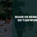 benefícios do taekwondo