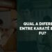 diferença entre karatê e kung fu