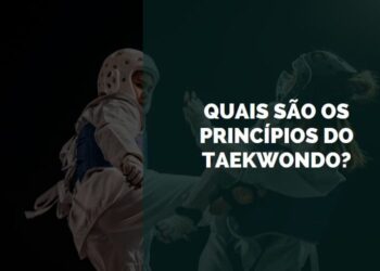 princípios no taekwondo