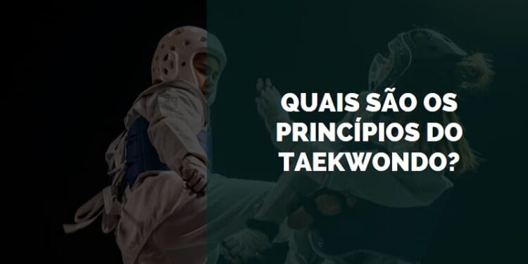 princípios no taekwondo