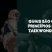 princípios no taekwondo