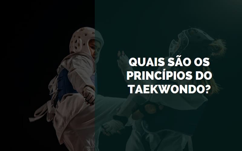 princípios no taekwondo
