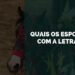 esportes com a letra j