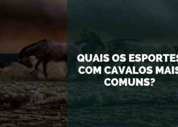 esportes com cavalos