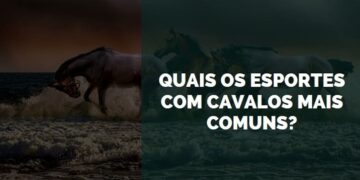 esportes com cavalos