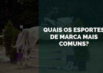 esportes de marca