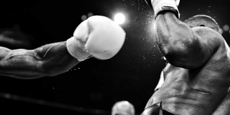 Boxe em alta: saiba como funcionam os cinturões e as expressões do esporte